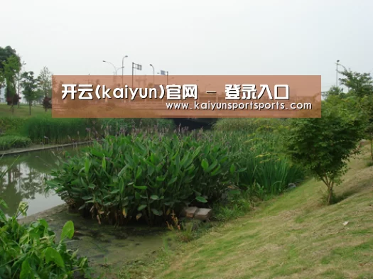 案例展示四(图1)