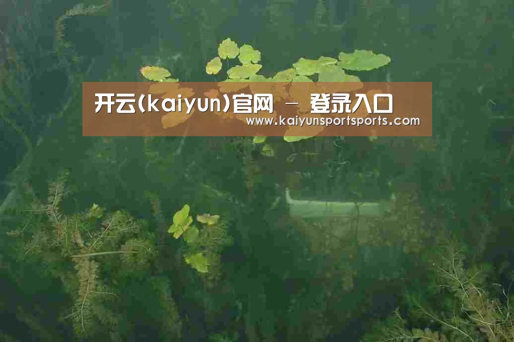 案例展示三(图1)