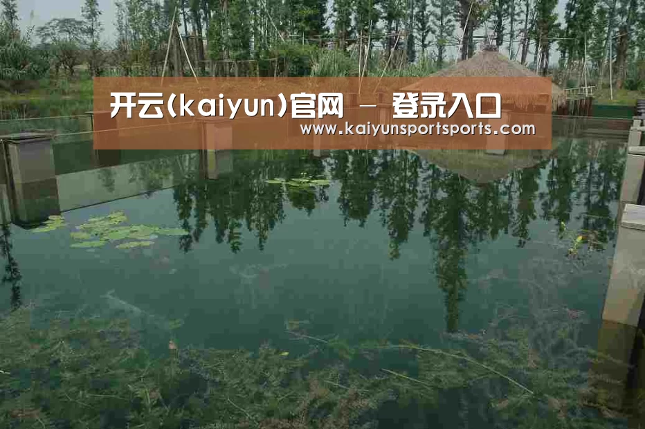 案例展示二(图1)