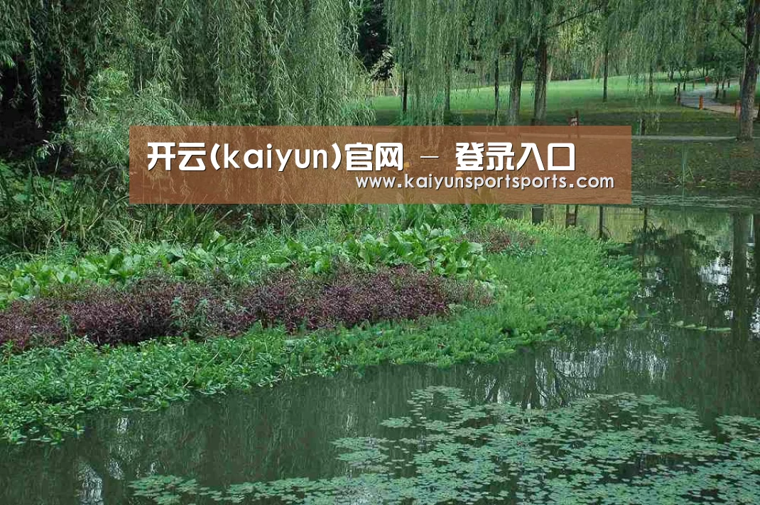案例展示一(图1)