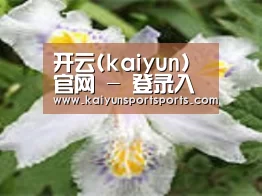 产品名称二