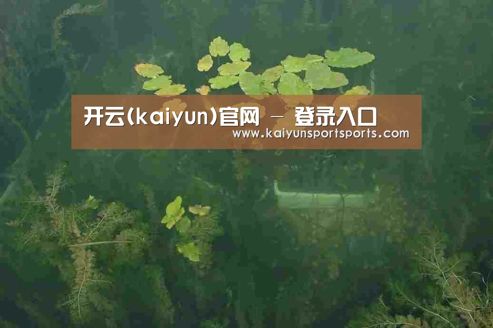 案例展示三