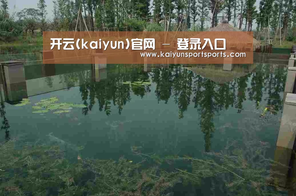 案例展示二