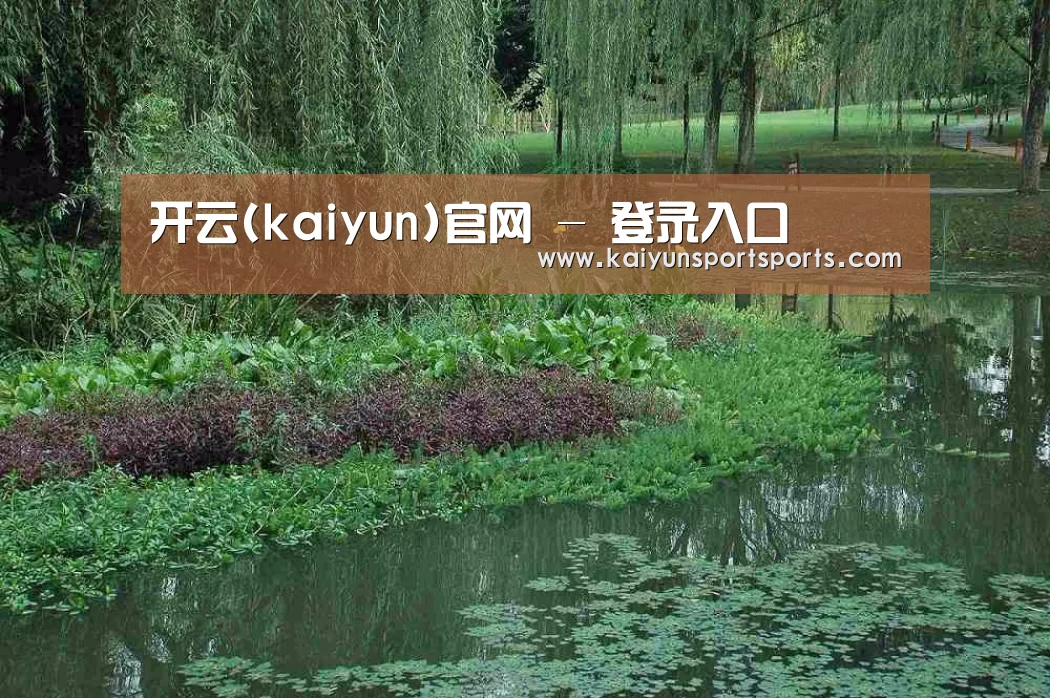 案例展示一