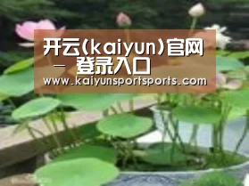 产品名称一
