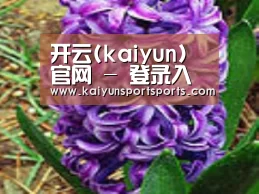 产品名称八