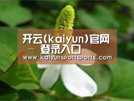 产品名称三