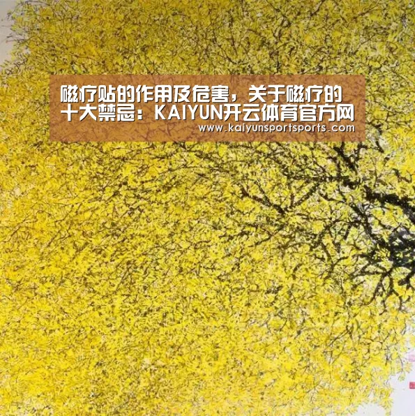 磁疗贴的作用及危害,关于磁疗的十大禁忌:KAIYUN开云体育官方网站(图4) KAIYUN开云体育官方网站