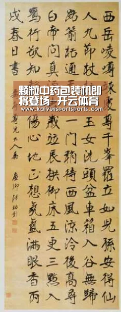 颗粒中药包装机即将登场-开云体育官网(图3) KAIYUN SPORTS