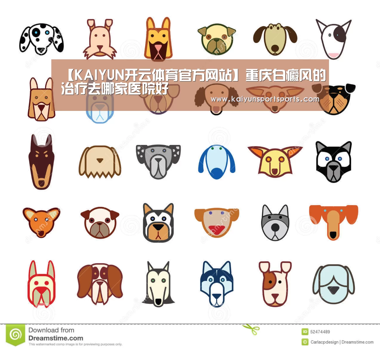KAIYUN开云体育官方网站